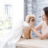 ドッグドレス PE001