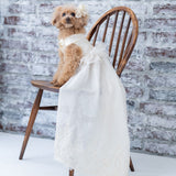 ドッグドレス PE001