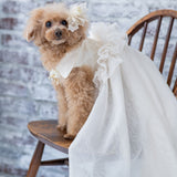 ドッグドレス PE001