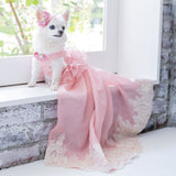 ドッグドレス PE001