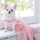 ドッグドレス PE001